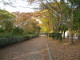 img0008.jpg