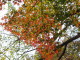 img0011.jpg