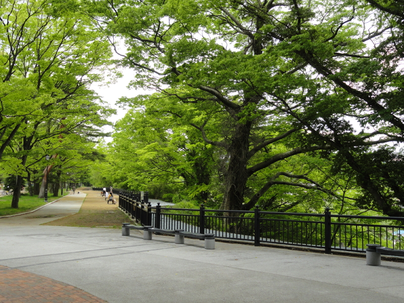 img0007.jpg
