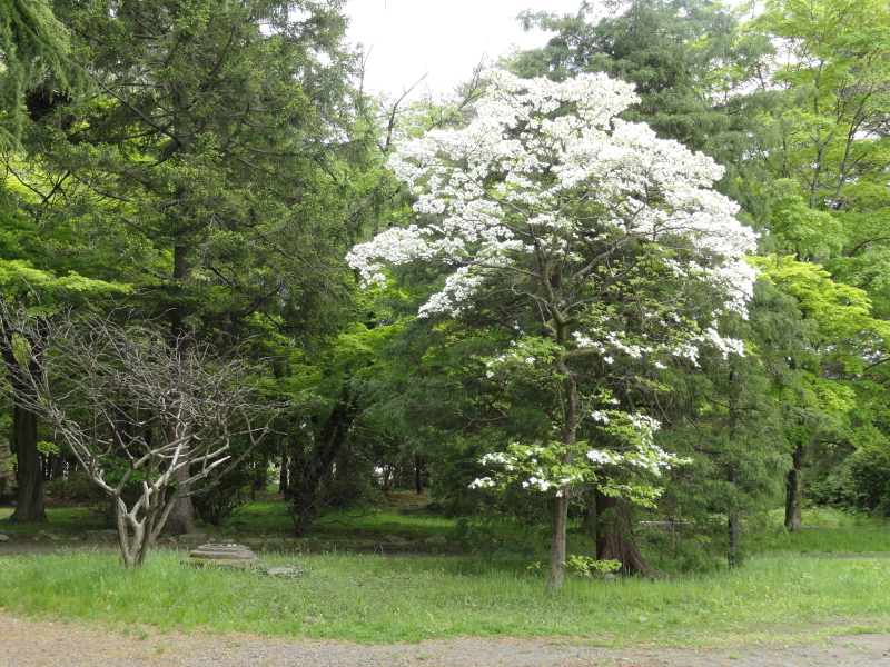 img0016.jpg