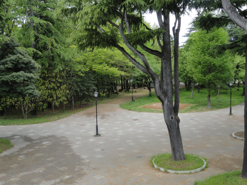 img0021.jpg