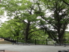 img0006.jpg
