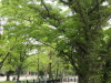 img0009.jpg