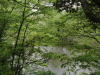 img0010.jpg