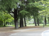 img0014.jpg