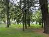 img0015.jpg