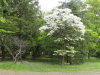 img0016.jpg
