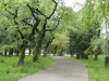 img0017.jpg