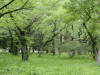 img0018.jpg
