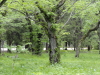 img0019.jpg