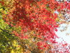 img0017.jpg
