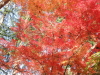 img0022.jpg