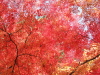 img0023.jpg