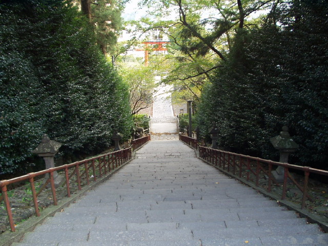 img0007.jpg