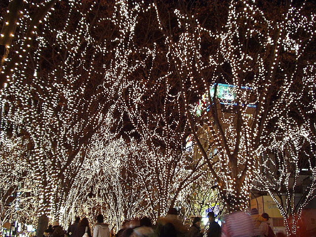 img0003.jpg