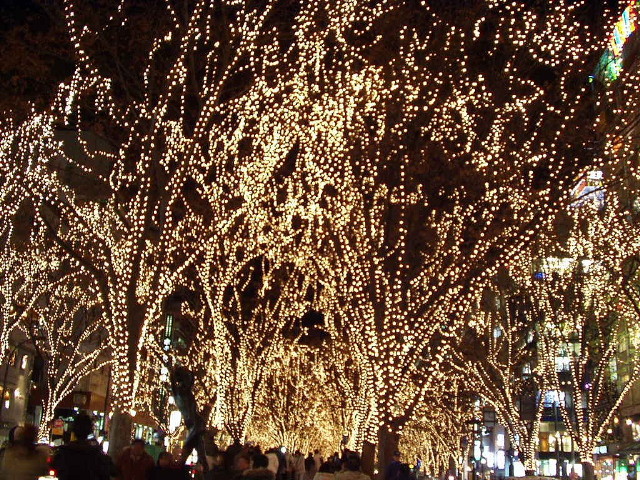 img0004.jpg
