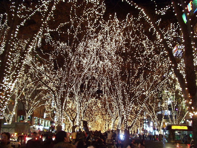 img0006.jpg