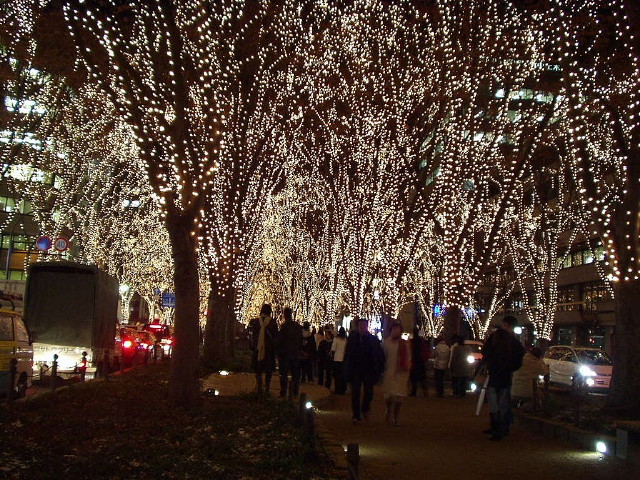 img0015.jpg