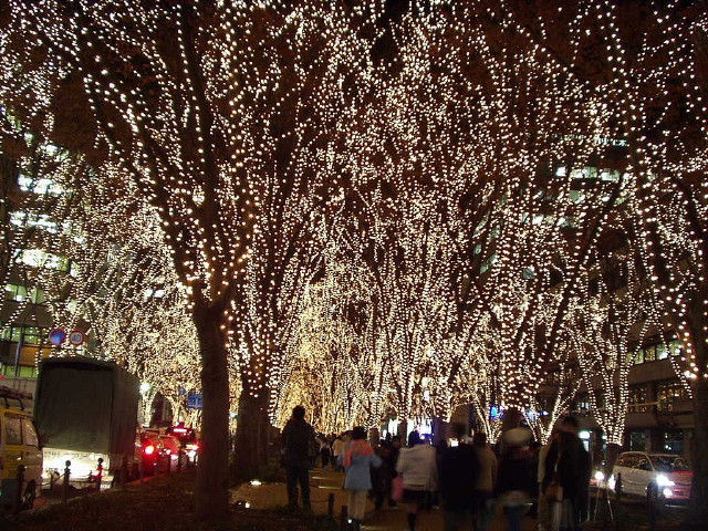 img0016.jpg
