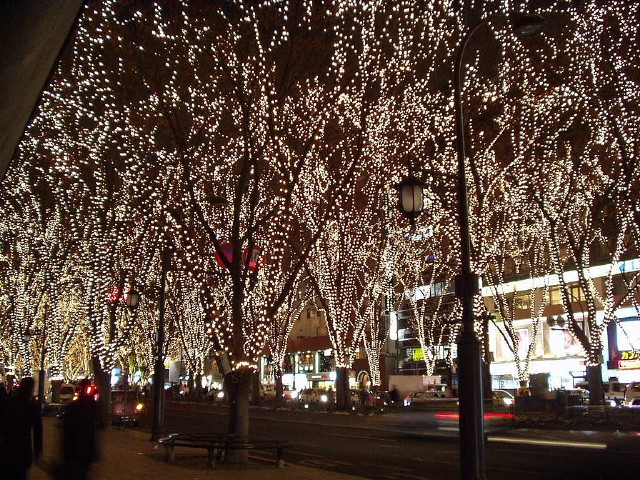 img0026.jpg