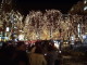 img0009.jpg