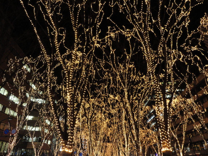 img0007.jpg