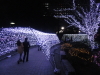 img0021.jpg