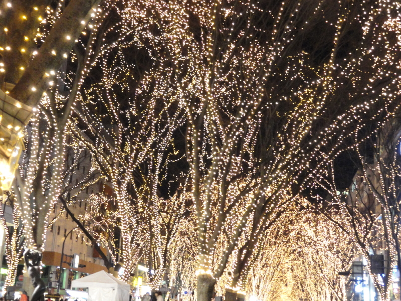 img0023.jpg