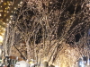 img0023.jpg