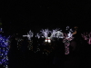 img0033.jpg