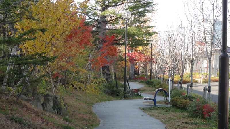 img0020.jpg