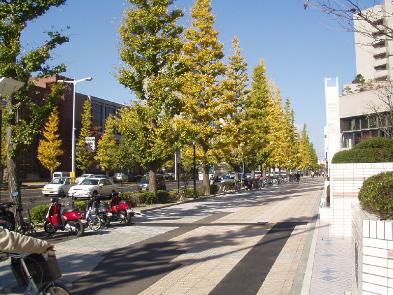 img0030.jpg