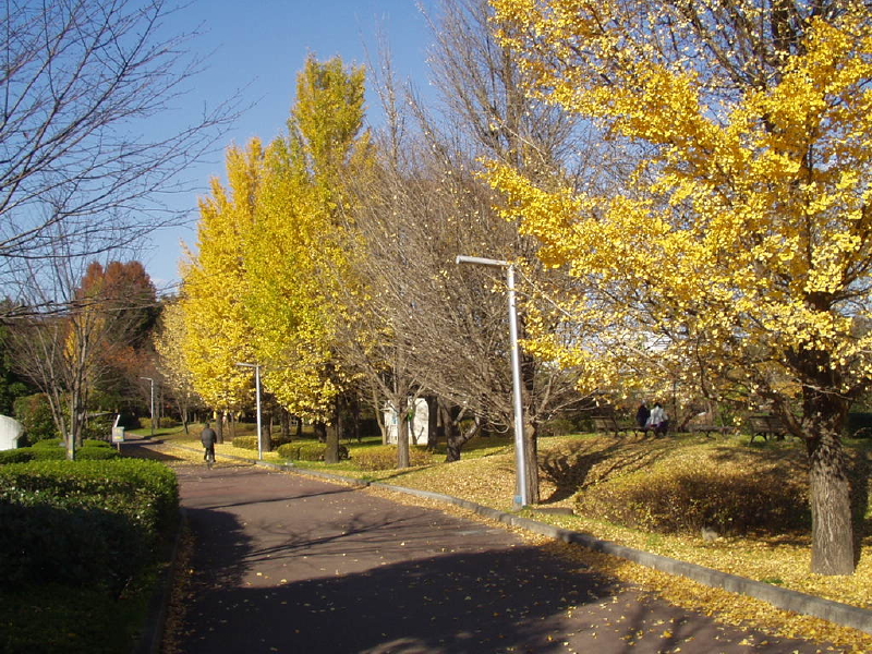 img0038.jpg