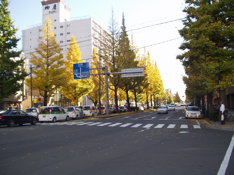 img0041.jpg