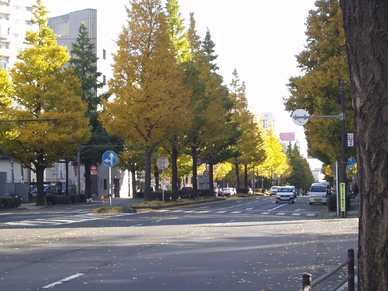 img0043.jpg