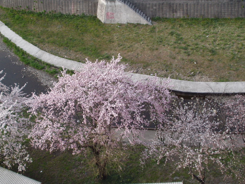 img0045.jpg