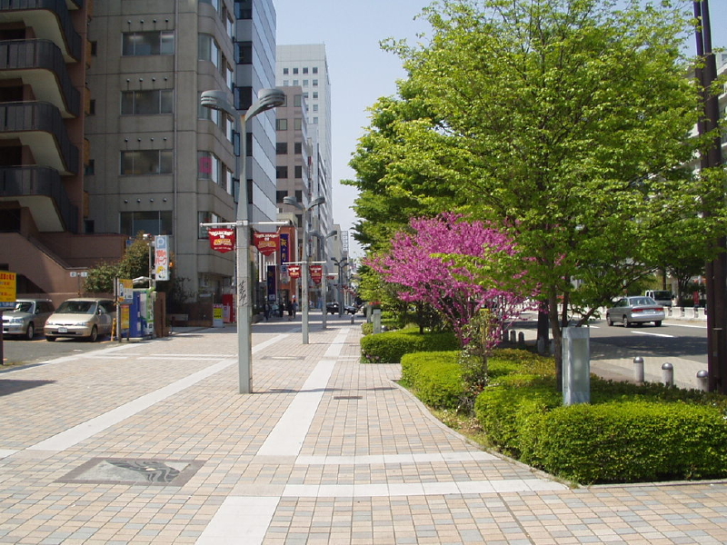 img0057.jpg