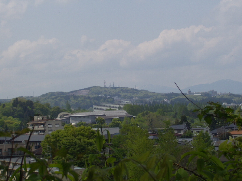 img0062.jpg