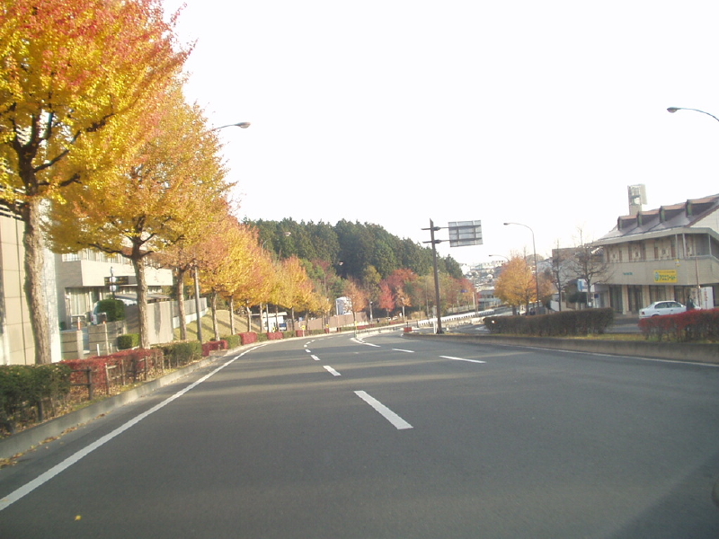img0069.jpg