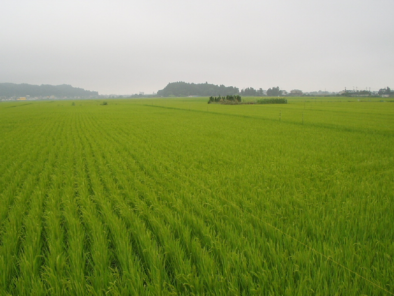 img0083.jpg