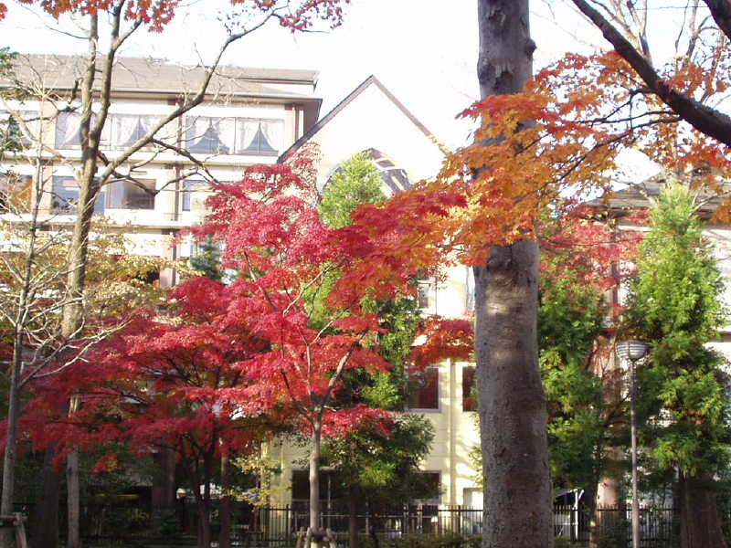 img0087.jpg