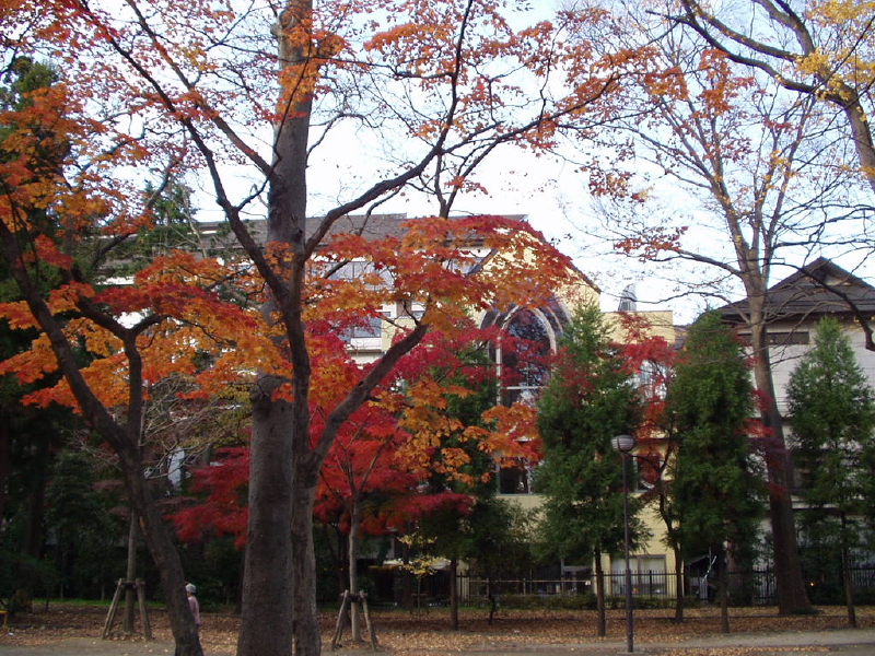 img0088.jpg