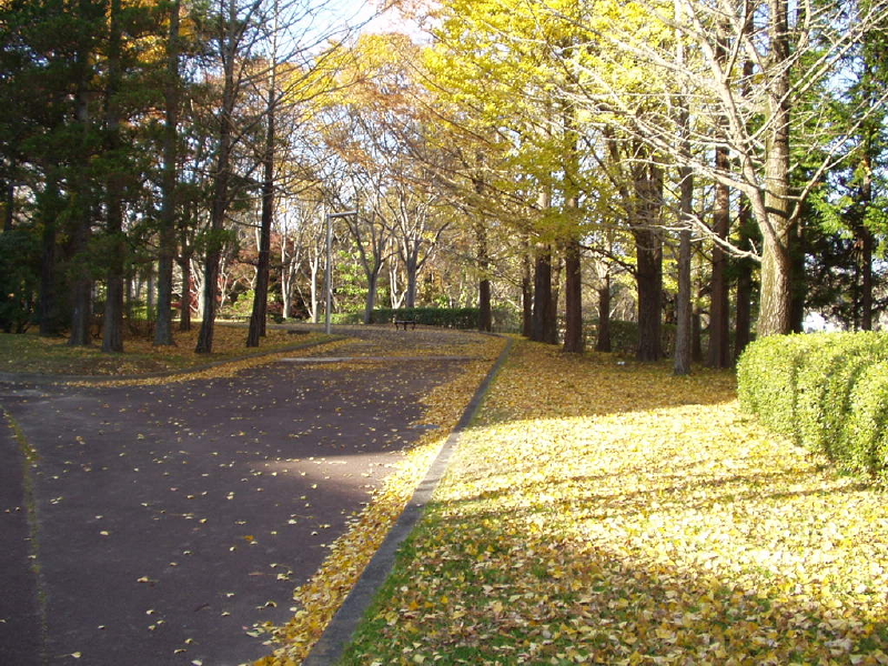 img0092.jpg