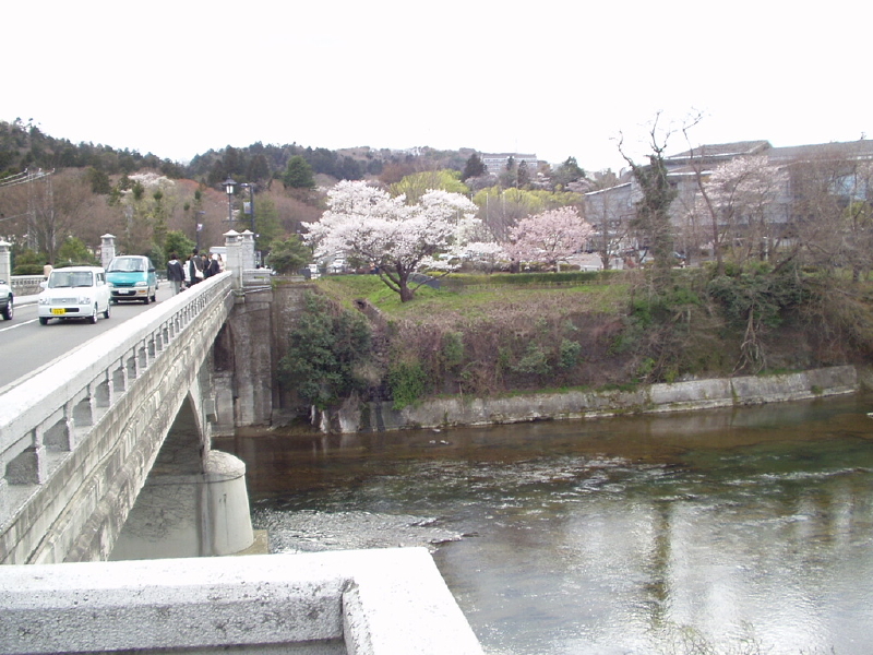 img0105.jpg