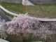 img0045.jpg