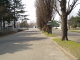 img0050.jpg