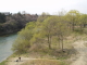 img0051.jpg