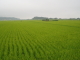 img0083.jpg