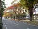img0097.jpg