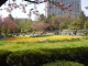 img0112.jpg